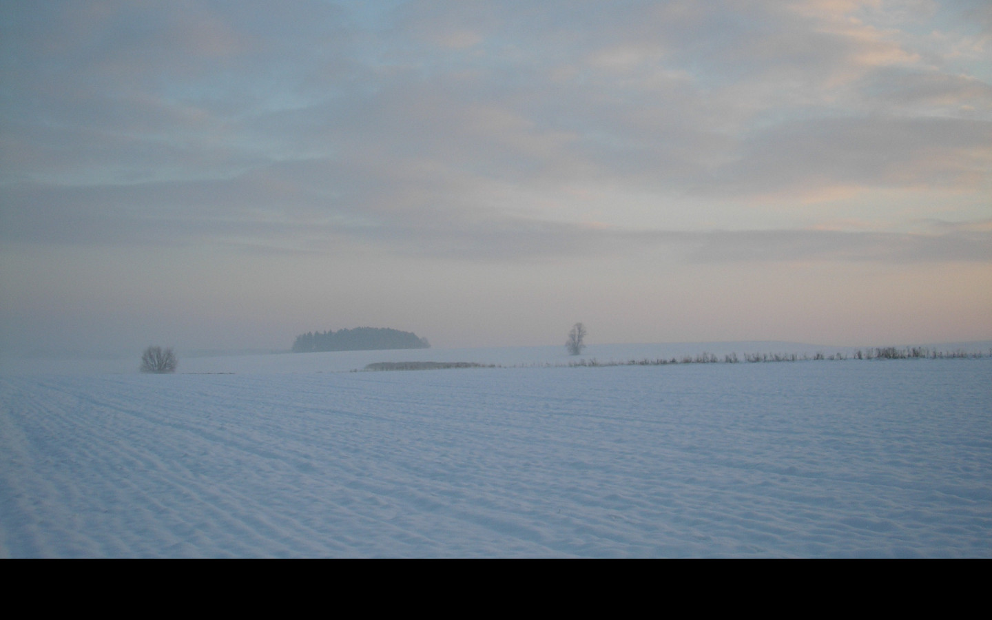 Tapeta radimer_promeny_05