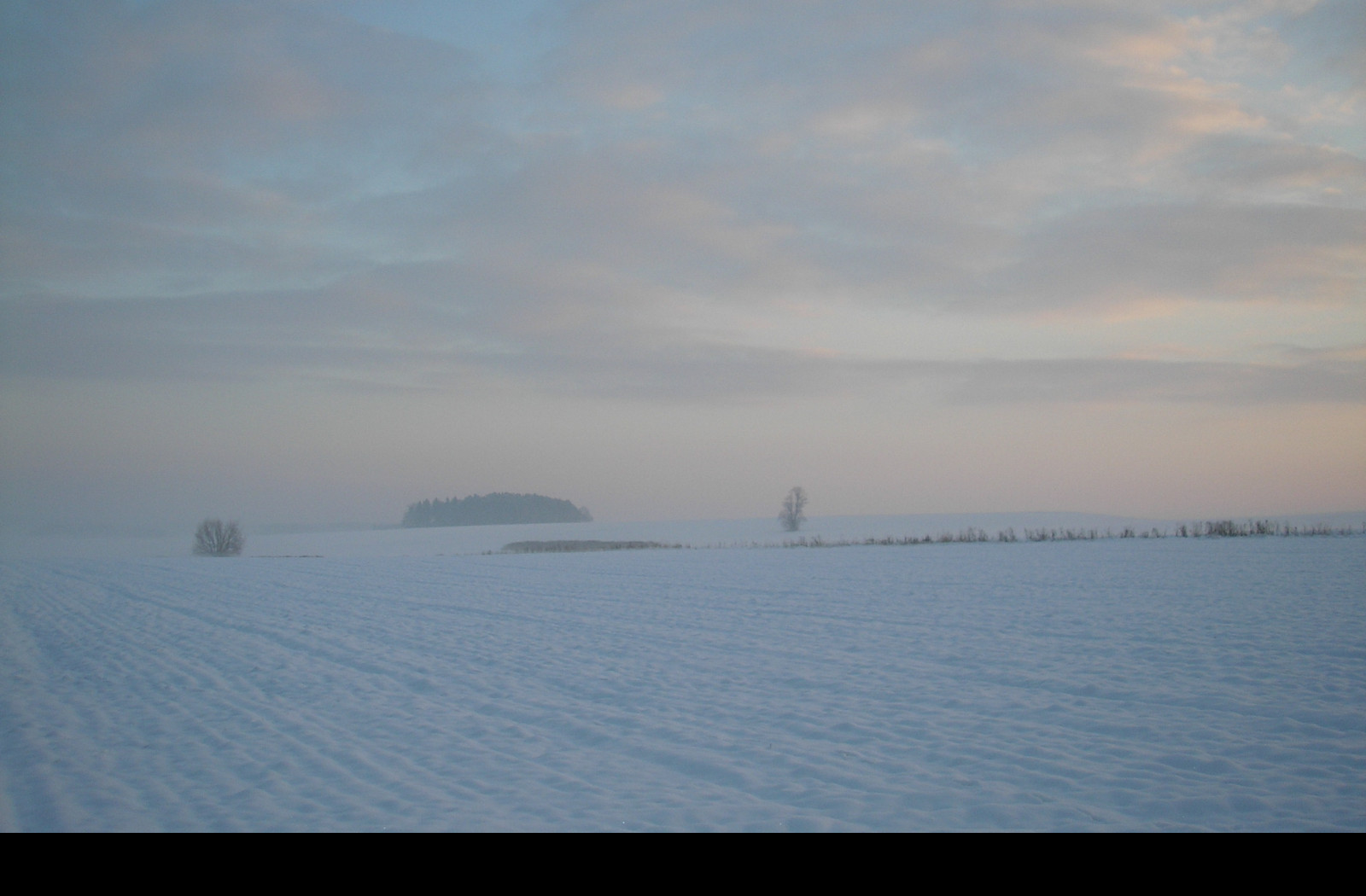 Tapeta radimer_promeny_05