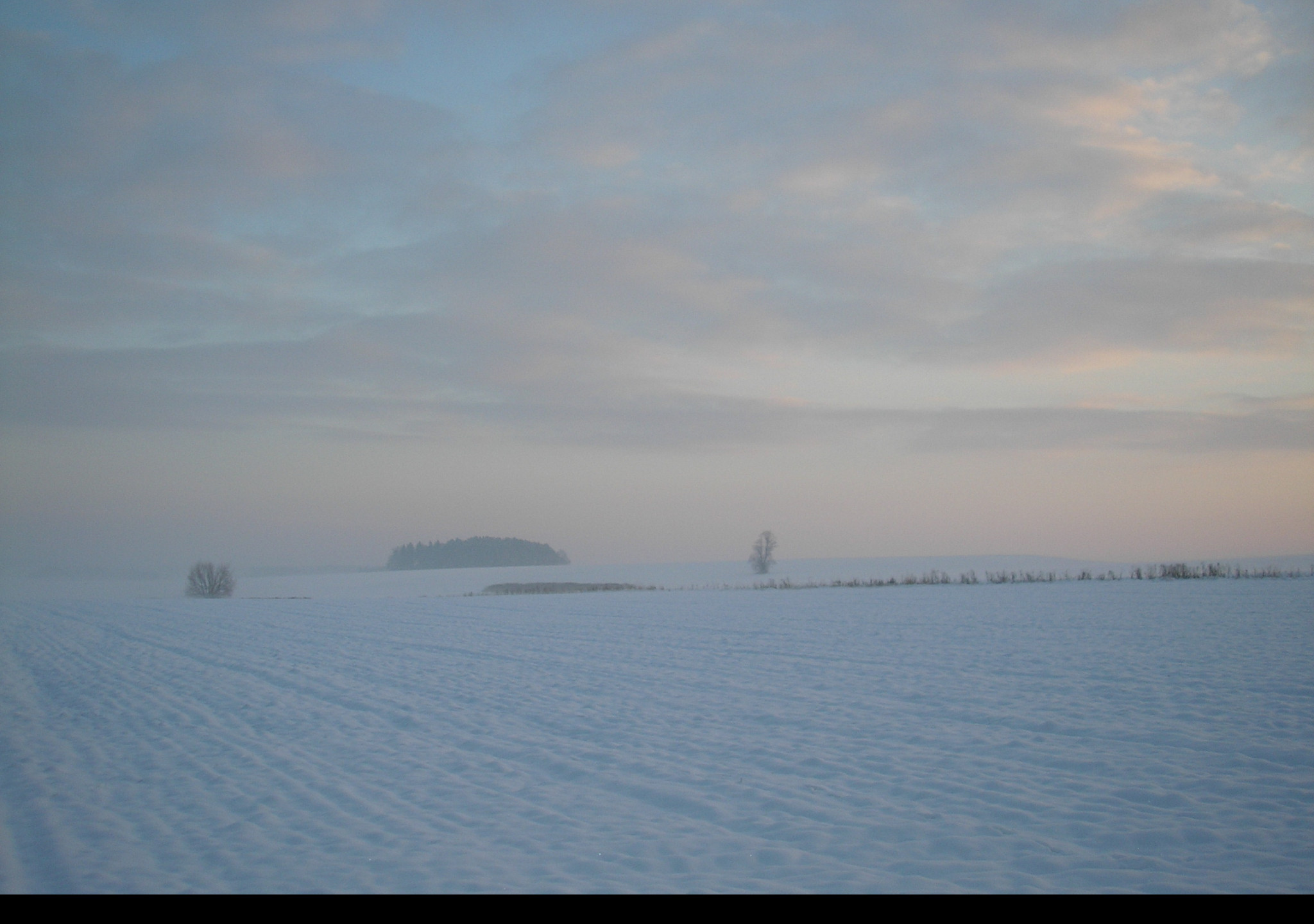 Tapeta radimer_promeny_05