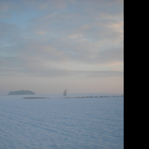 Tapeta radimer_promeny_05