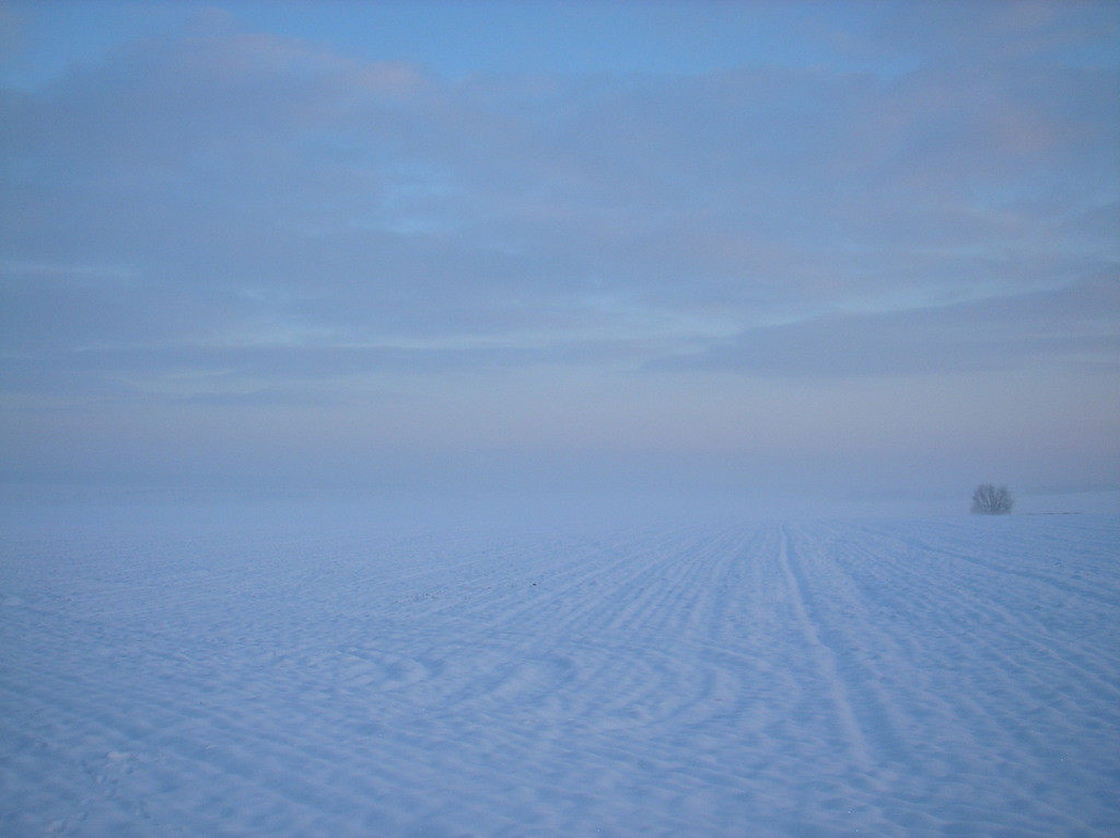 Tapeta radimer_promeny_06