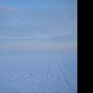 Tapeta radimer_promeny_06