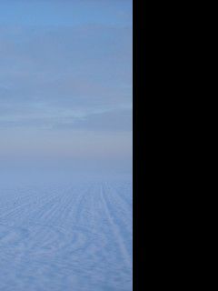 Tapeta radimer_promeny_06