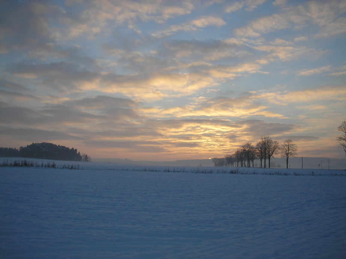 Tapeta radimer_promeny_07