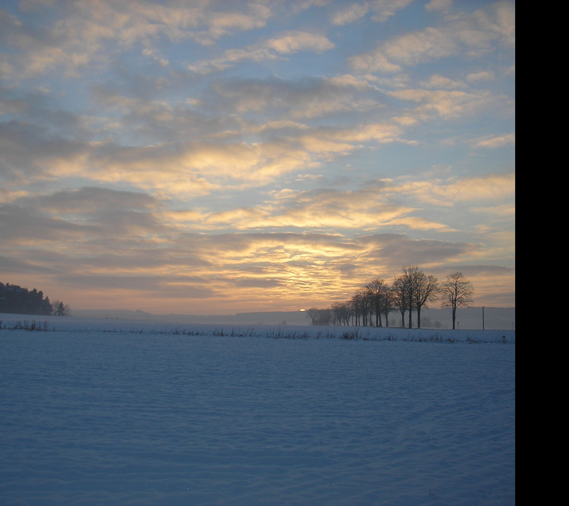 Tapeta radimer_promeny_07