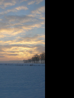 Tapeta radimer_promeny_07