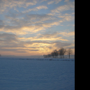 Tapeta radimer_promeny_07
