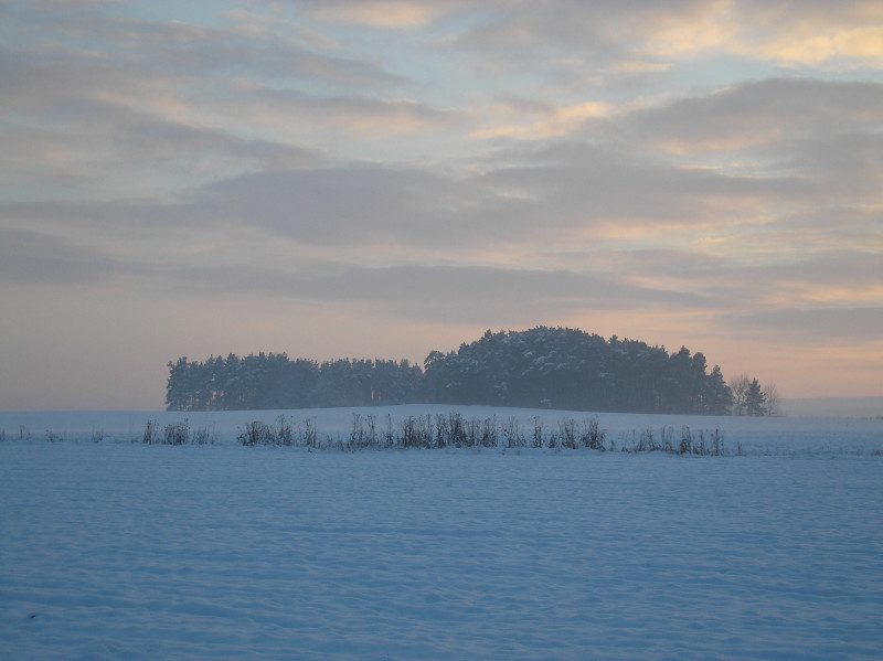 Tapeta radimer_promeny_08