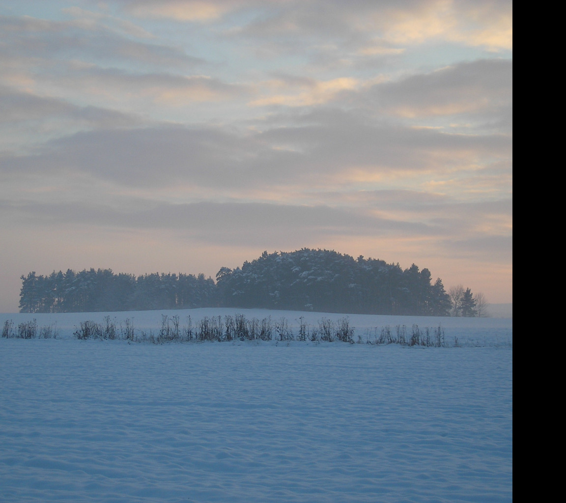 Tapeta radimer_promeny_08