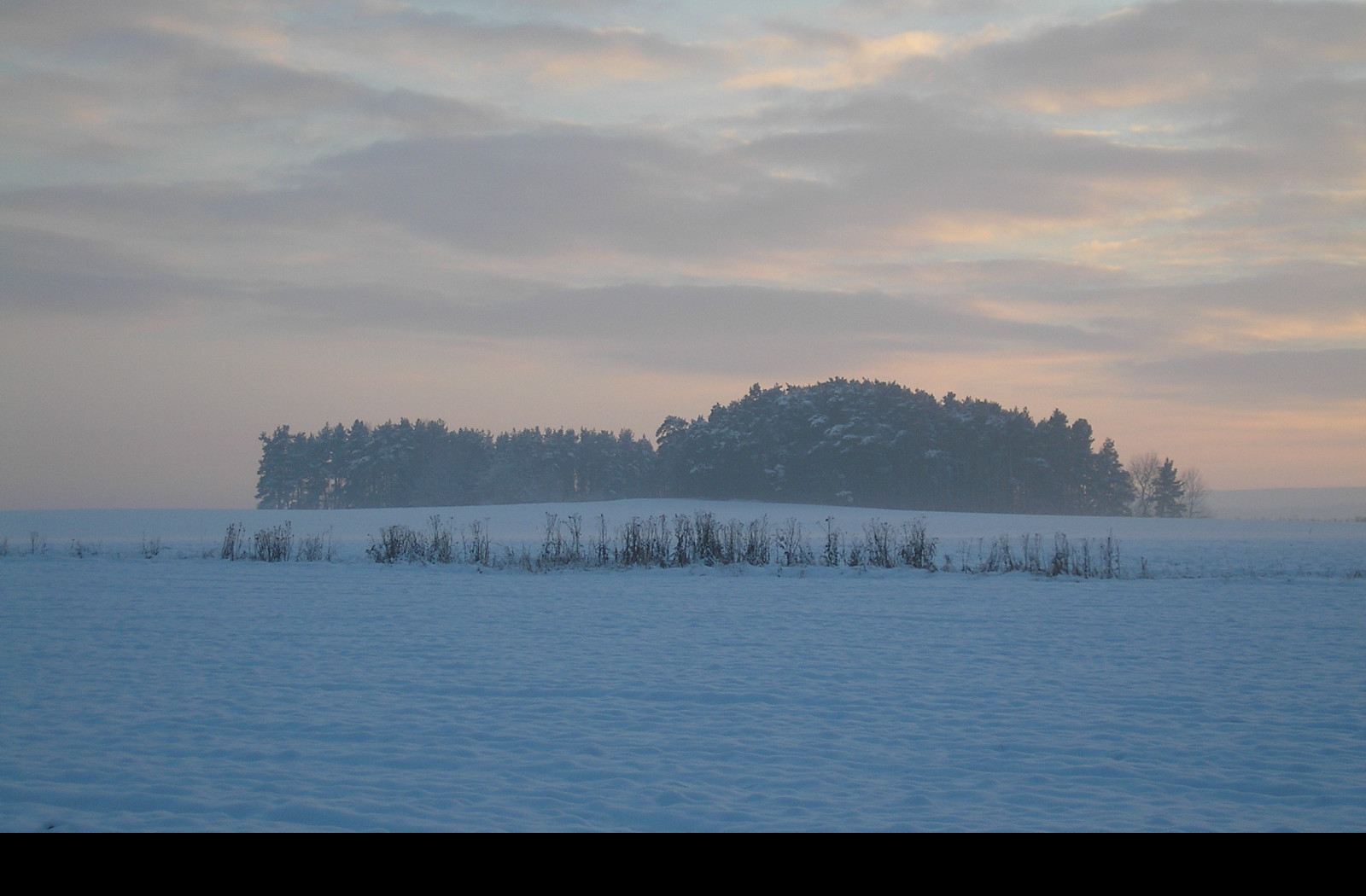 Tapeta radimer_promeny_08