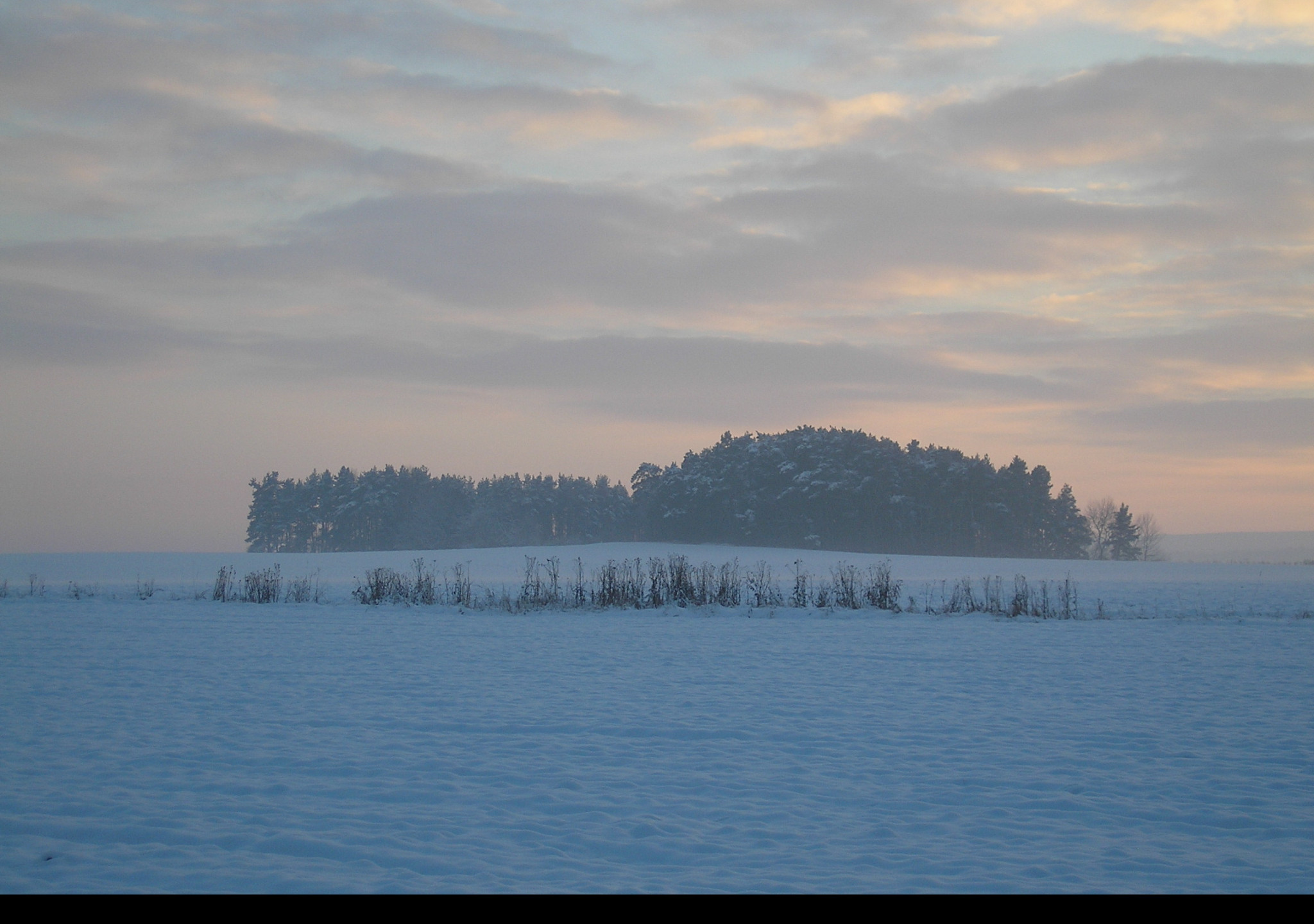 Tapeta radimer_promeny_08