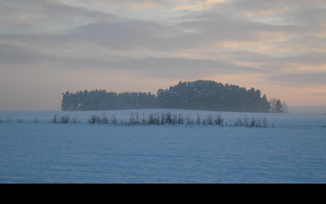 Tapeta radimer_promeny_08