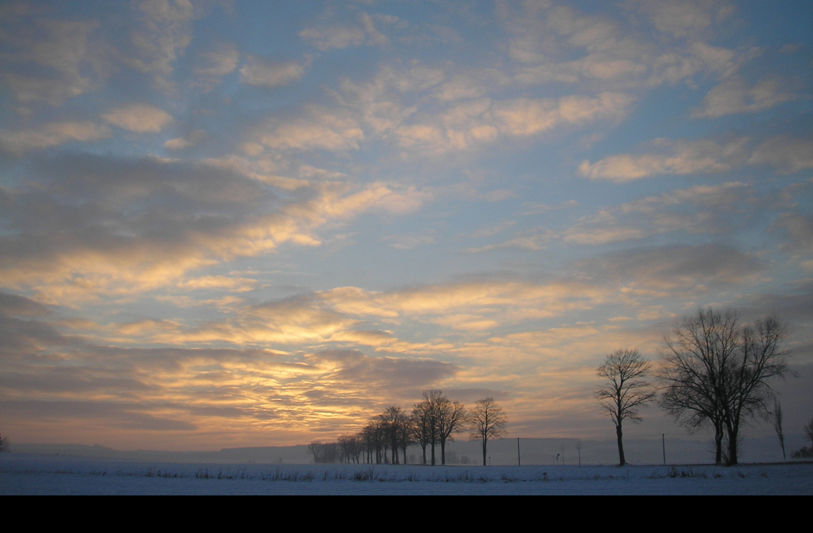 Tapeta radimer_promeny_11