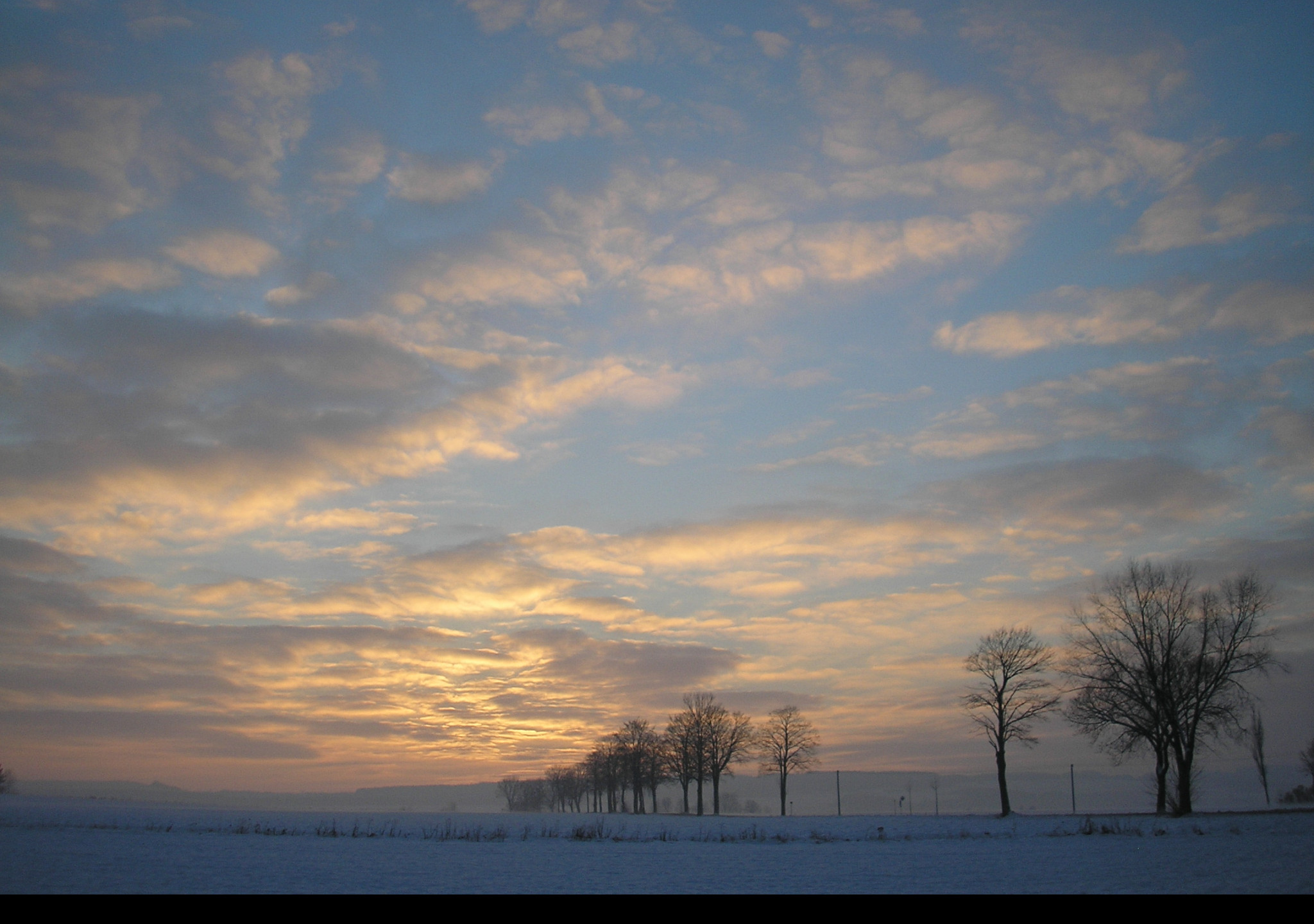 Tapeta radimer_promeny_11