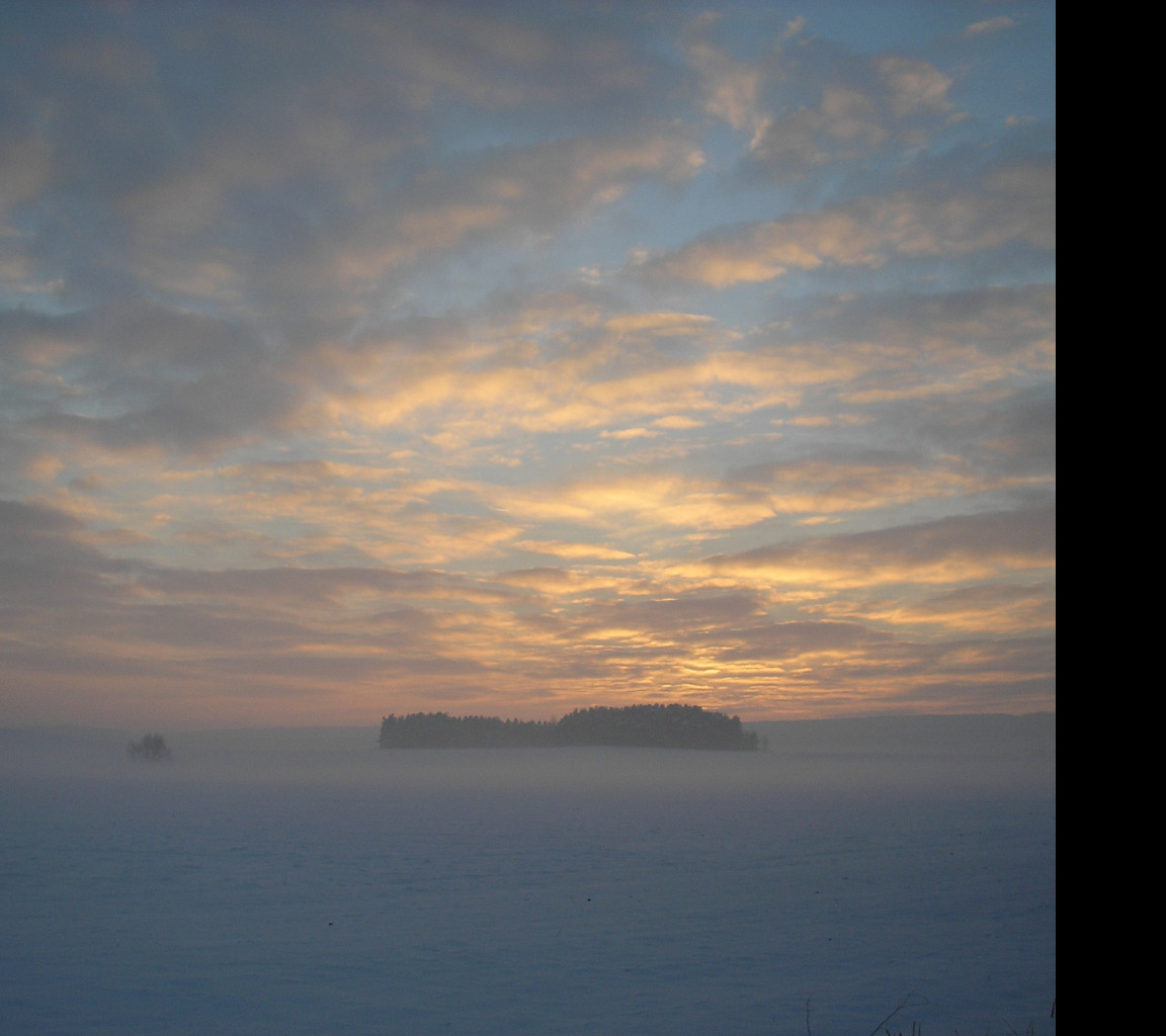 Tapeta radimer_promeny_12