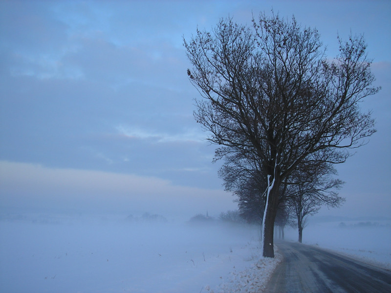 Tapeta radimer_promeny_13