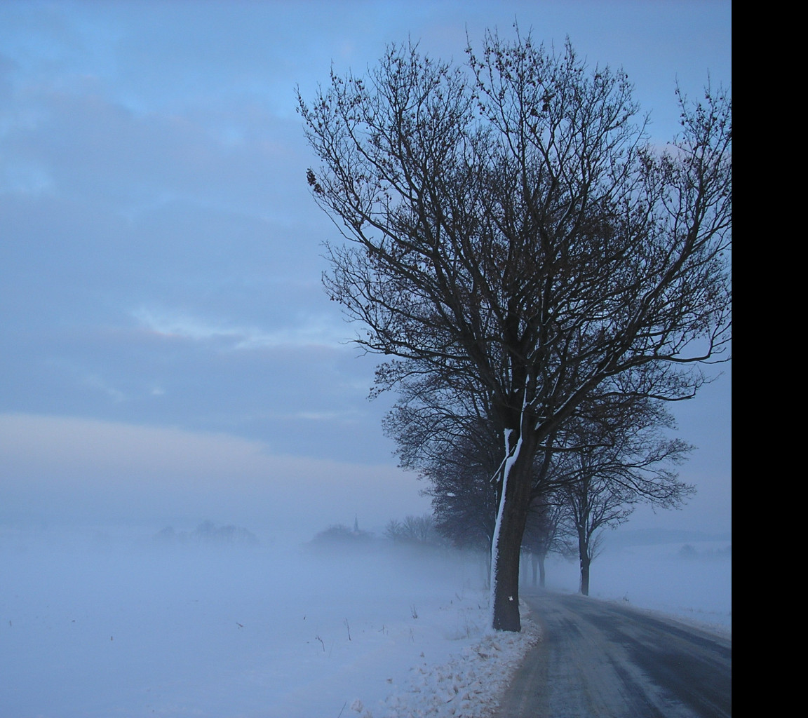 Tapeta radimer_promeny_13