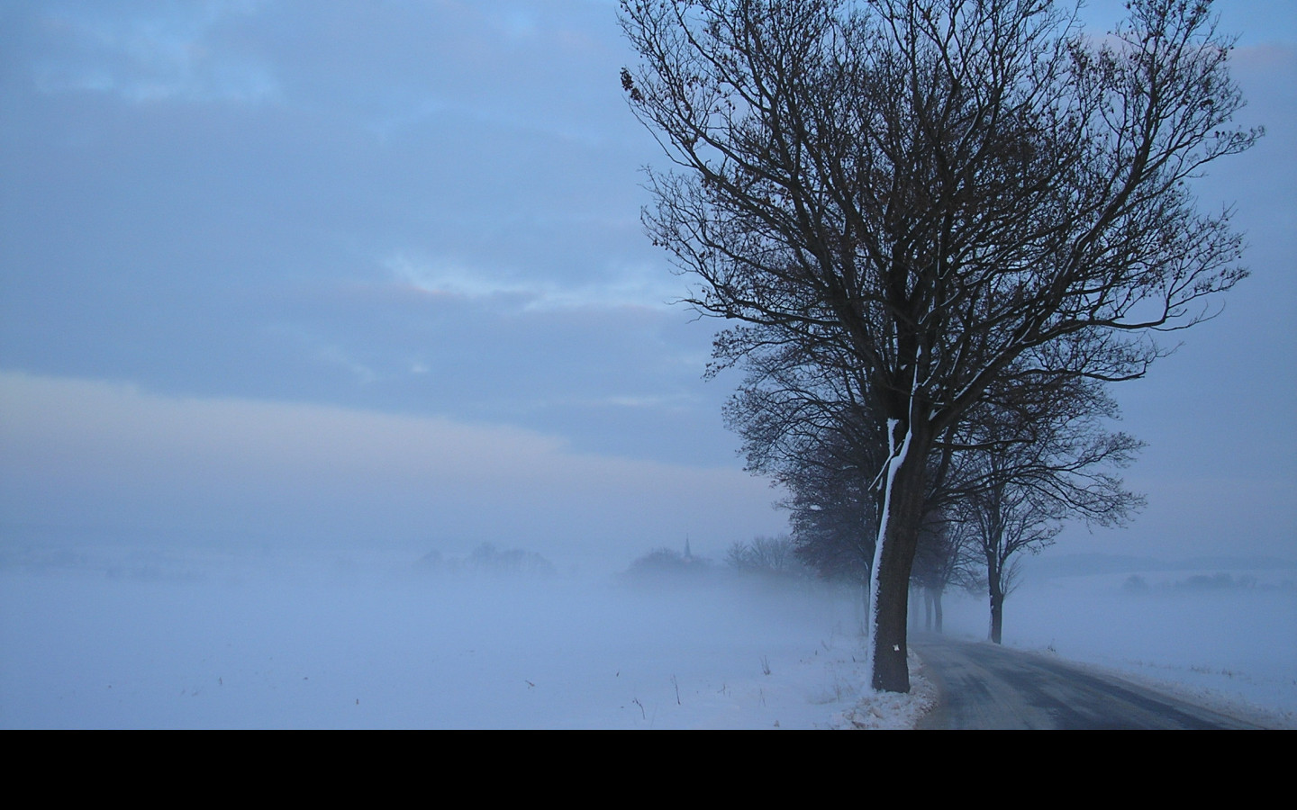 Tapeta radimer_promeny_13