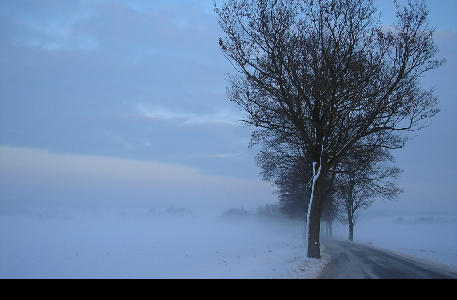 Tapeta radimer_promeny_13