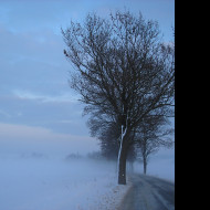 Tapeta radimer_promeny_13
