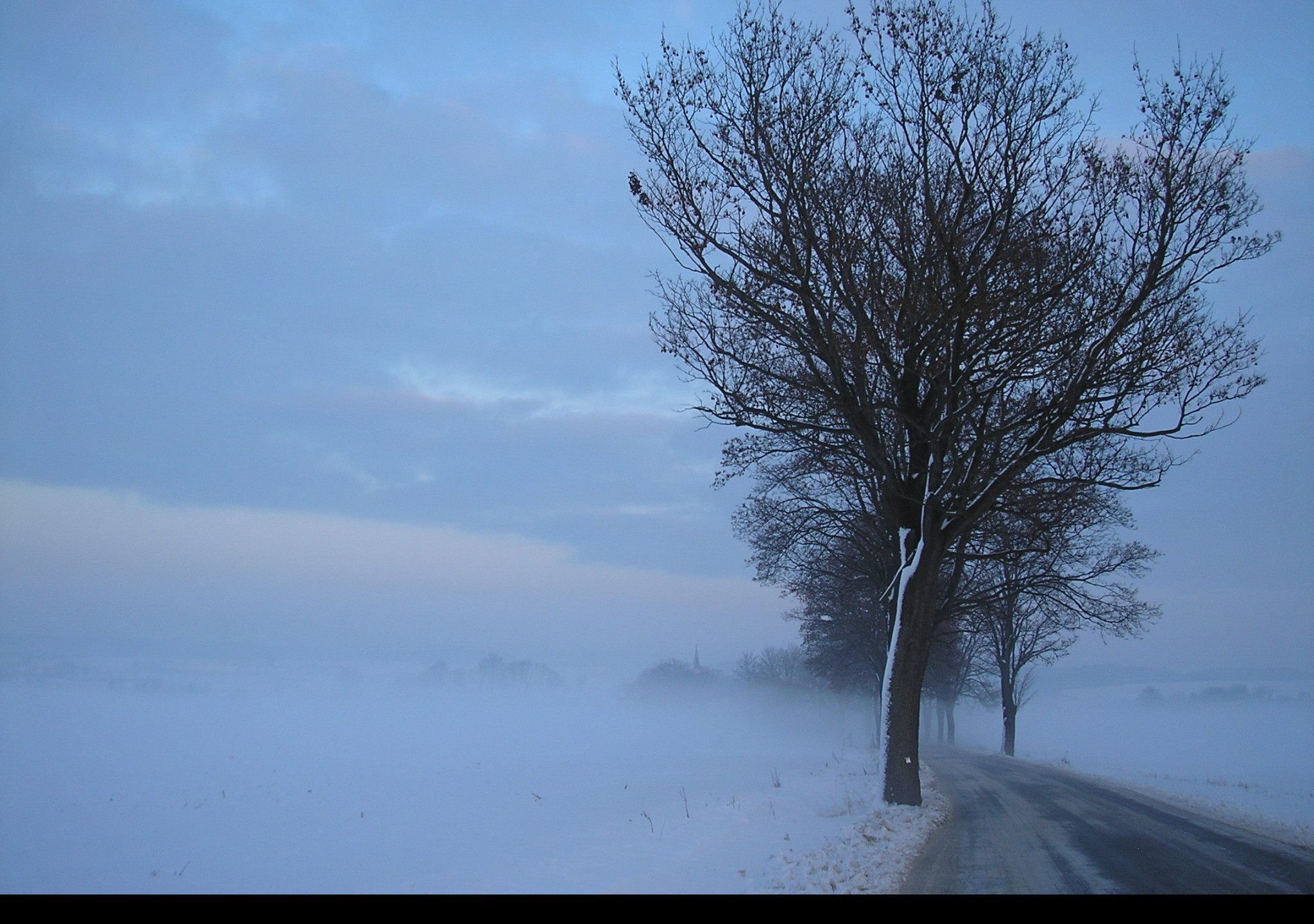 Tapeta radimer_promeny_13