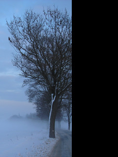 Tapeta radimer_promeny_13