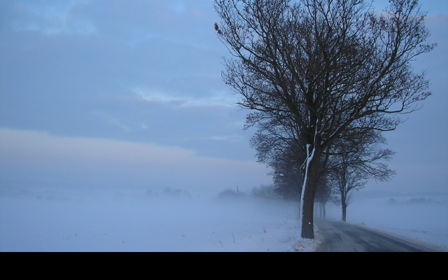 Tapeta radimer_promeny_13