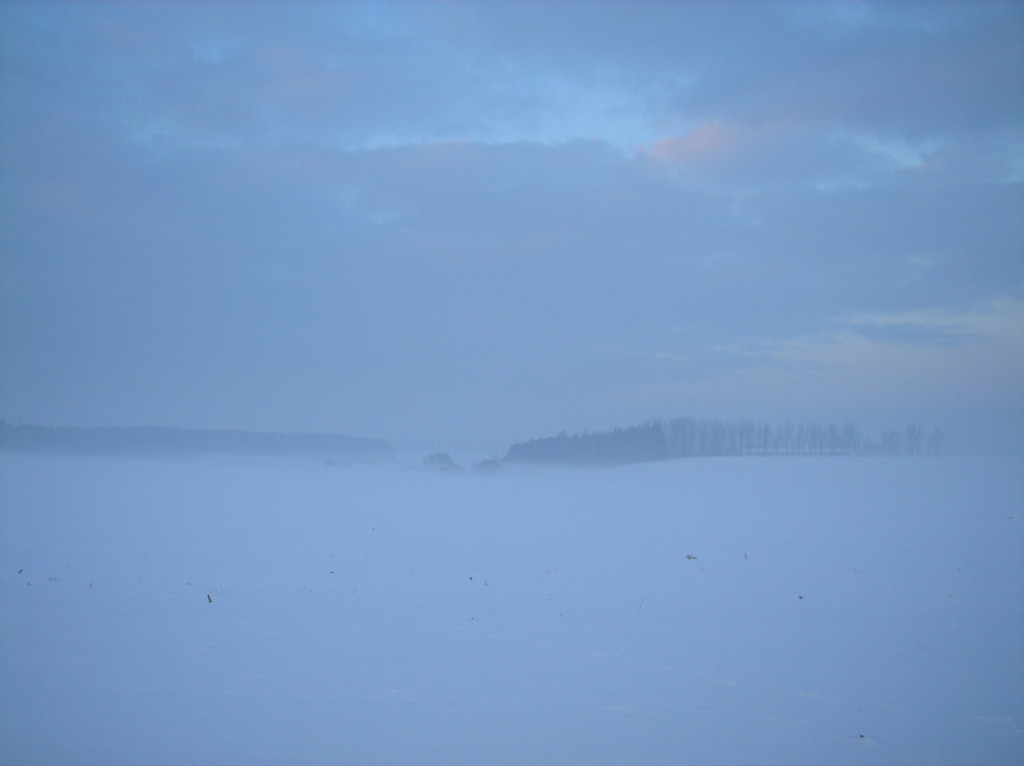 Tapeta radimer_promeny_14