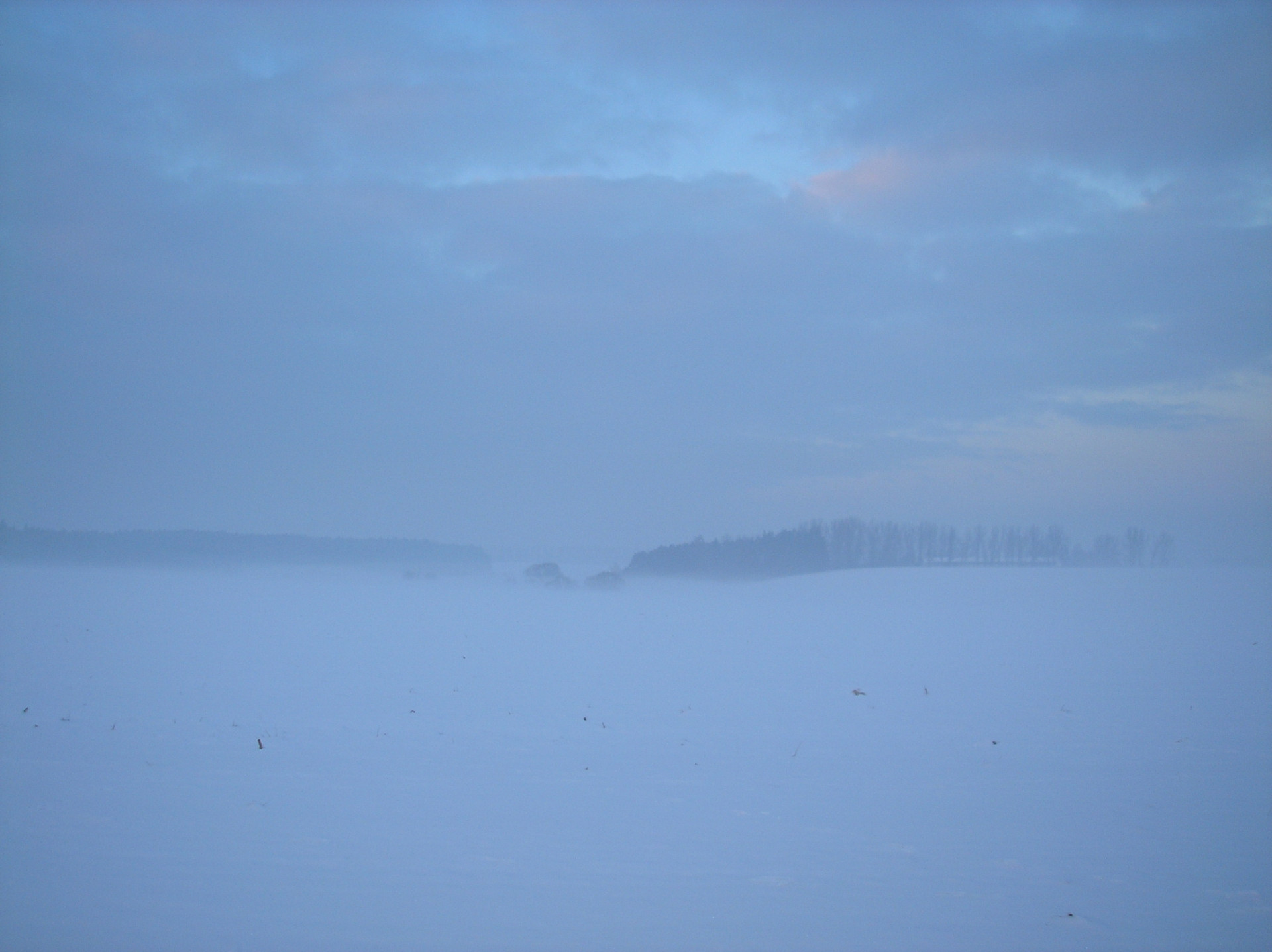 Tapeta radimer_promeny_14