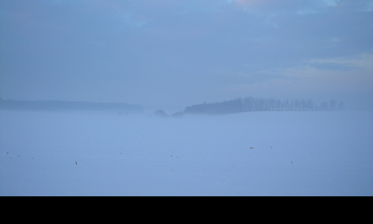 Tapeta radimer_promeny_14