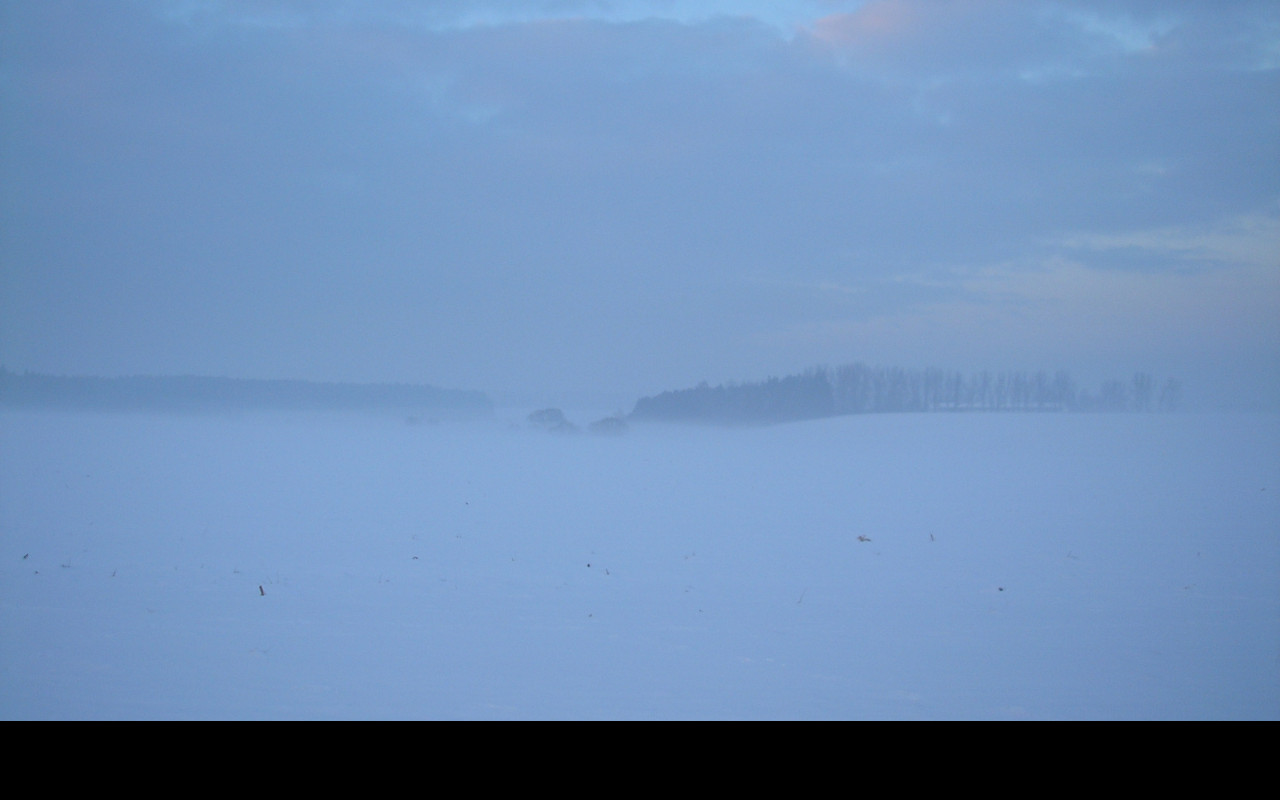 Tapeta radimer_promeny_14