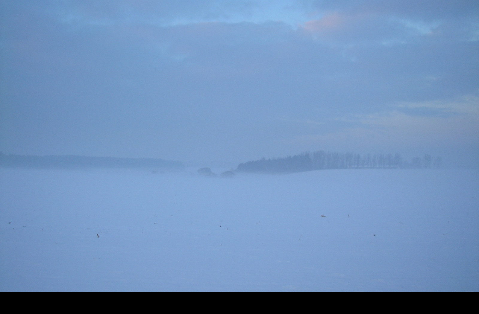 Tapeta radimer_promeny_14