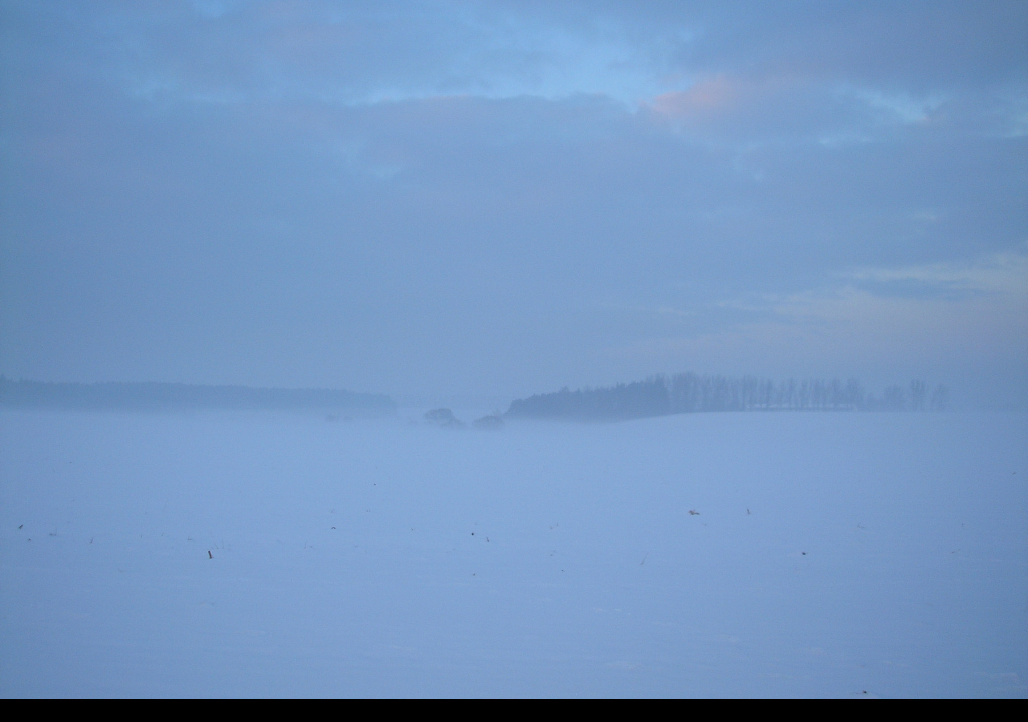 Tapeta radimer_promeny_14