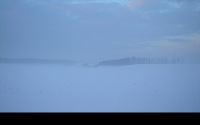Tapeta radimer_promeny_14