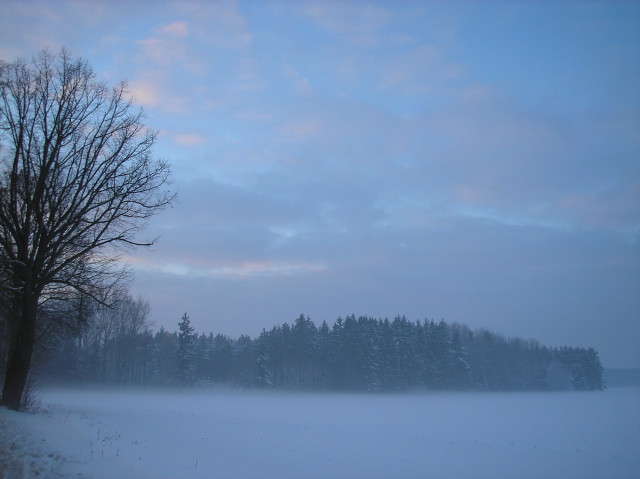 Tapeta radimer_promeny_15