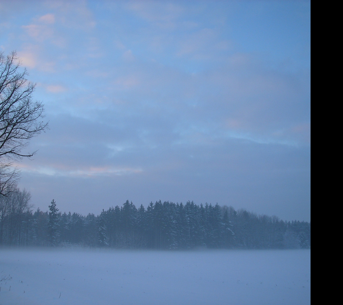 Tapeta radimer_promeny_15