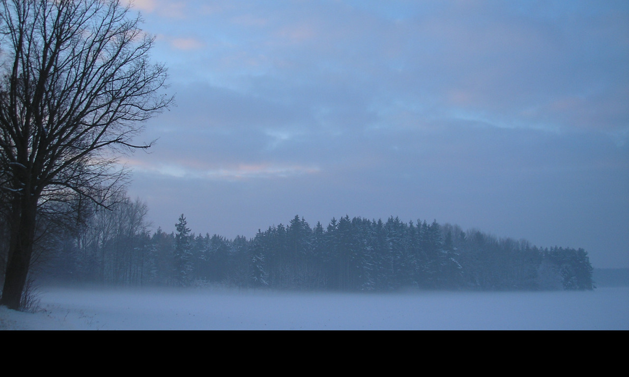 Tapeta radimer_promeny_15