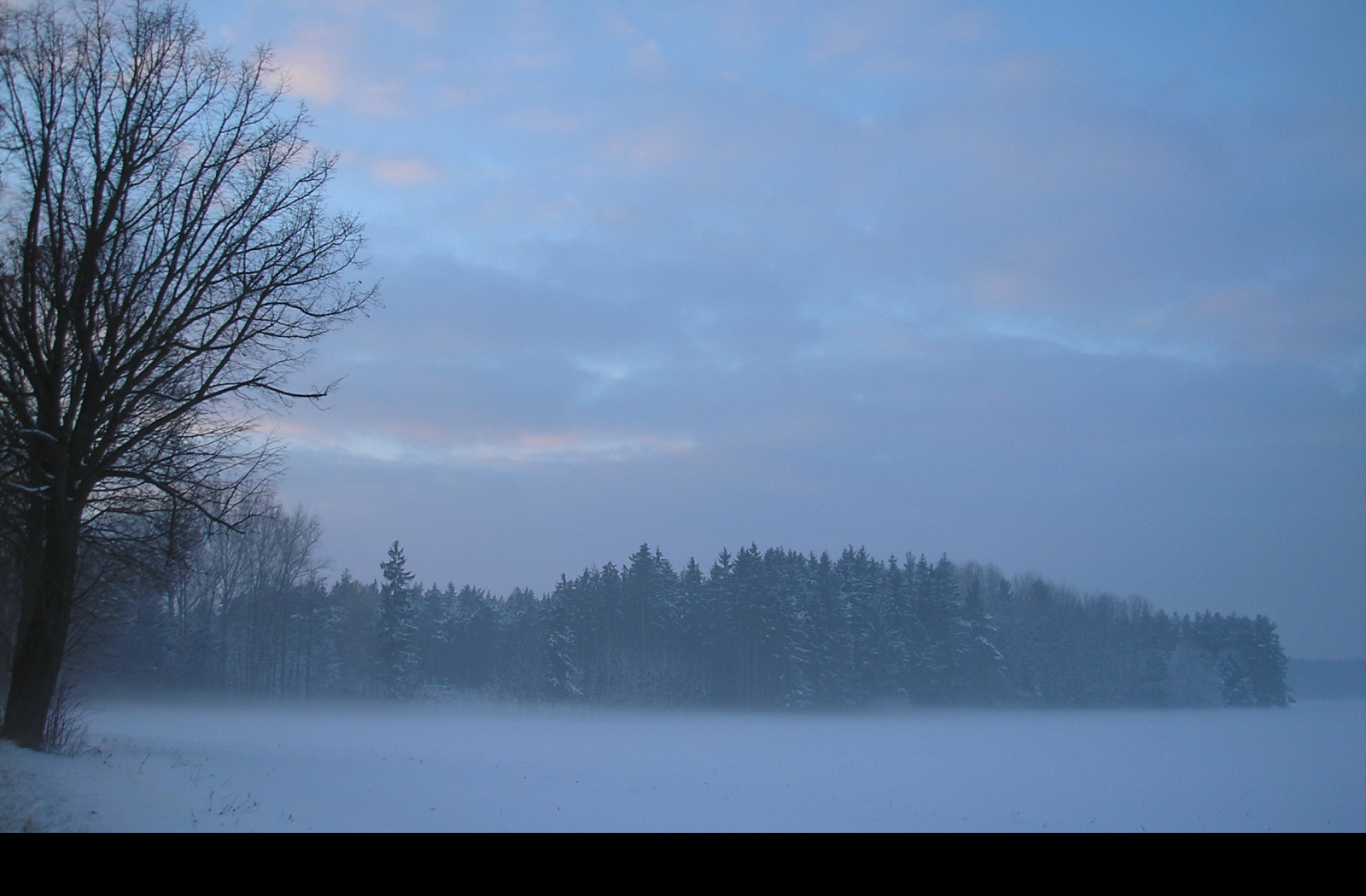 Tapeta radimer_promeny_15