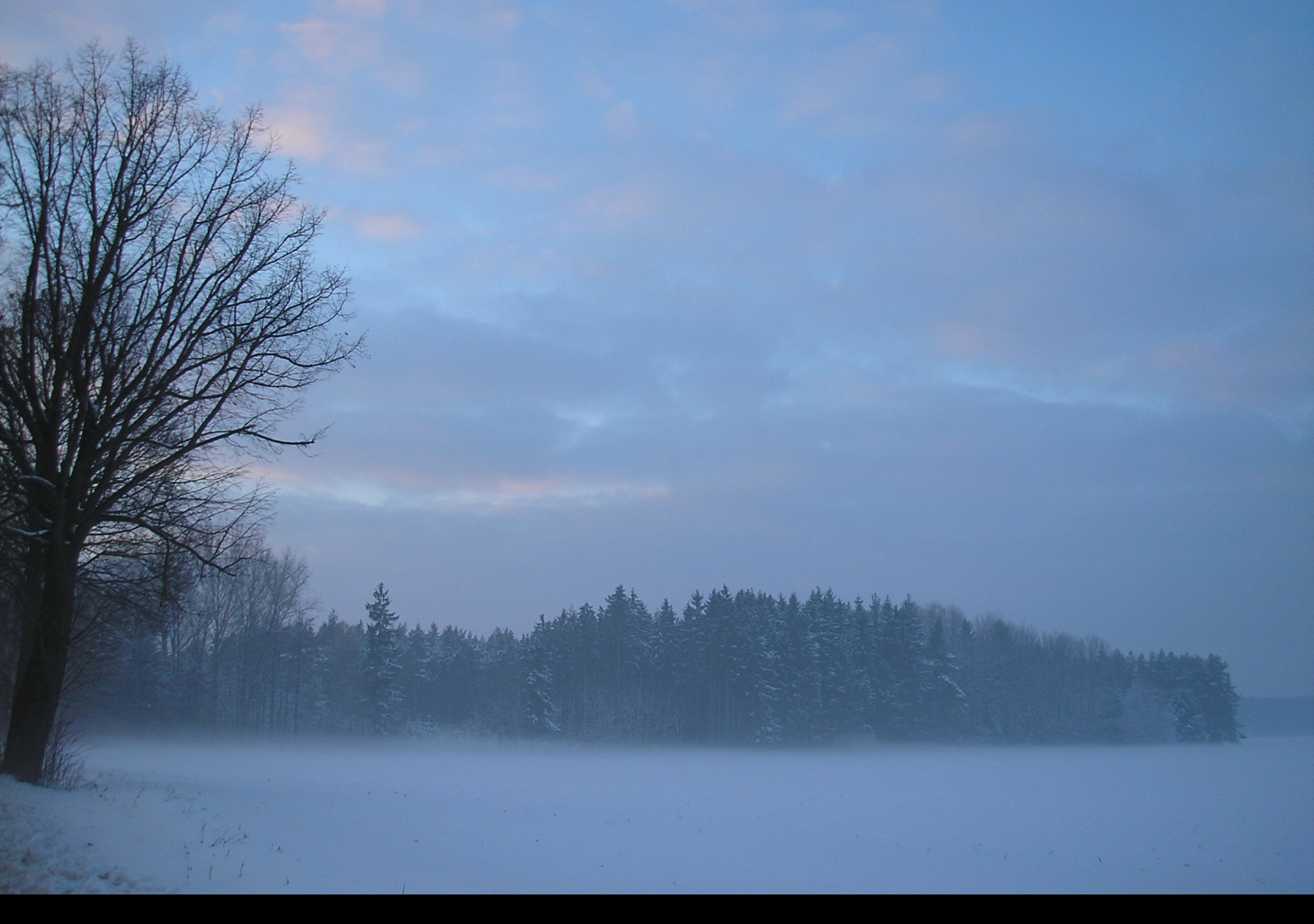Tapeta radimer_promeny_15