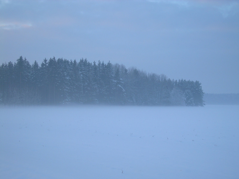 Tapeta radimer_promeny_16