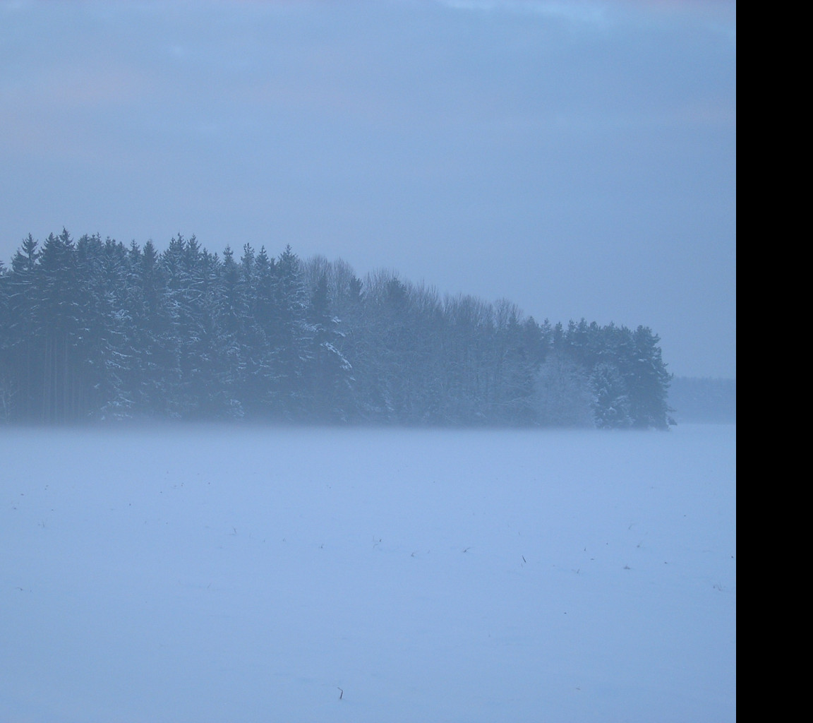 Tapeta radimer_promeny_16