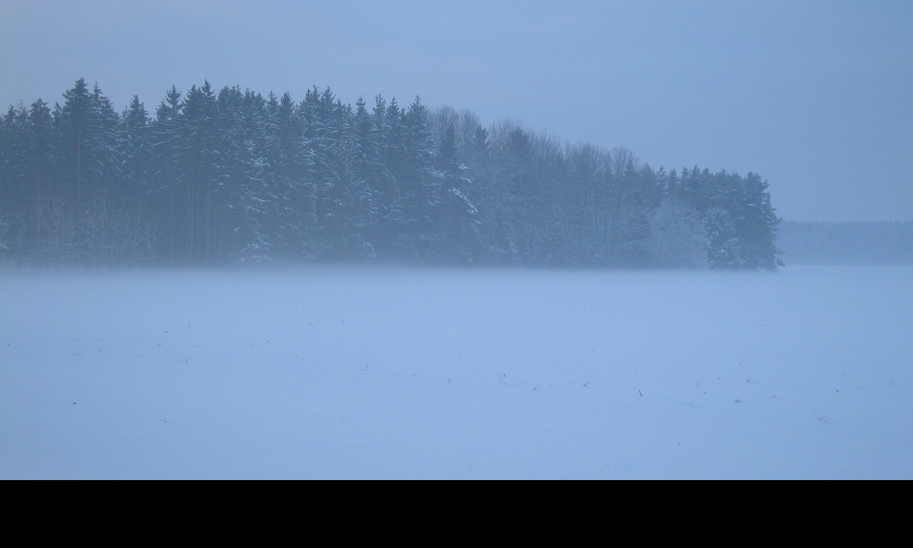 Tapeta radimer_promeny_16