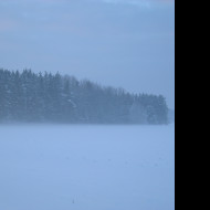 Tapeta radimer_promeny_16