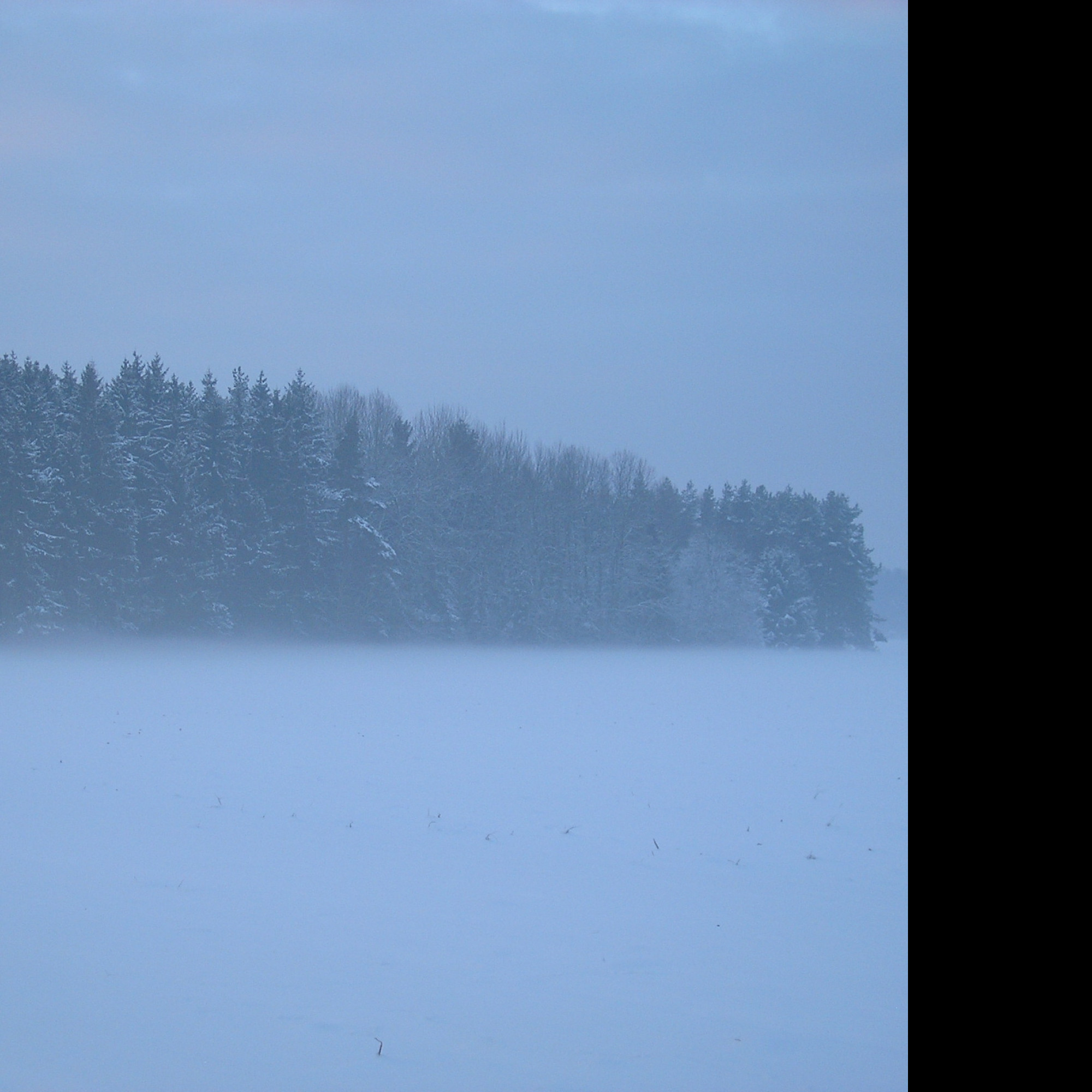 Tapeta radimer_promeny_16