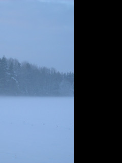 Tapeta radimer_promeny_16