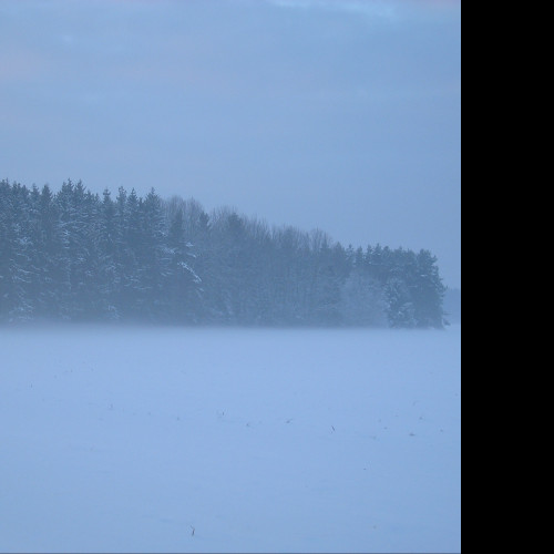 Tapeta radimer_promeny_16