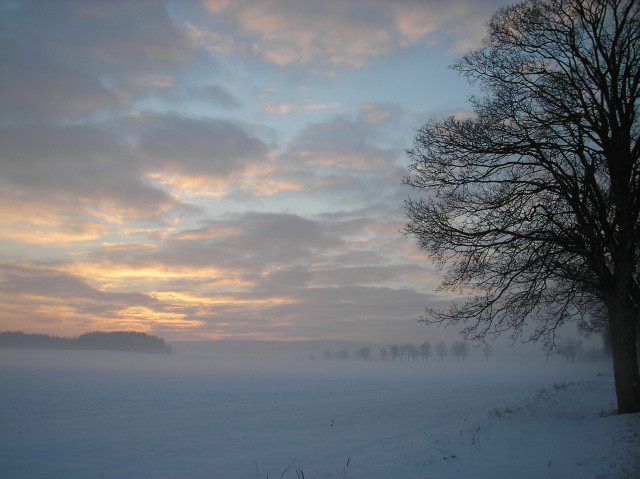 Tapeta radimer_promeny_18