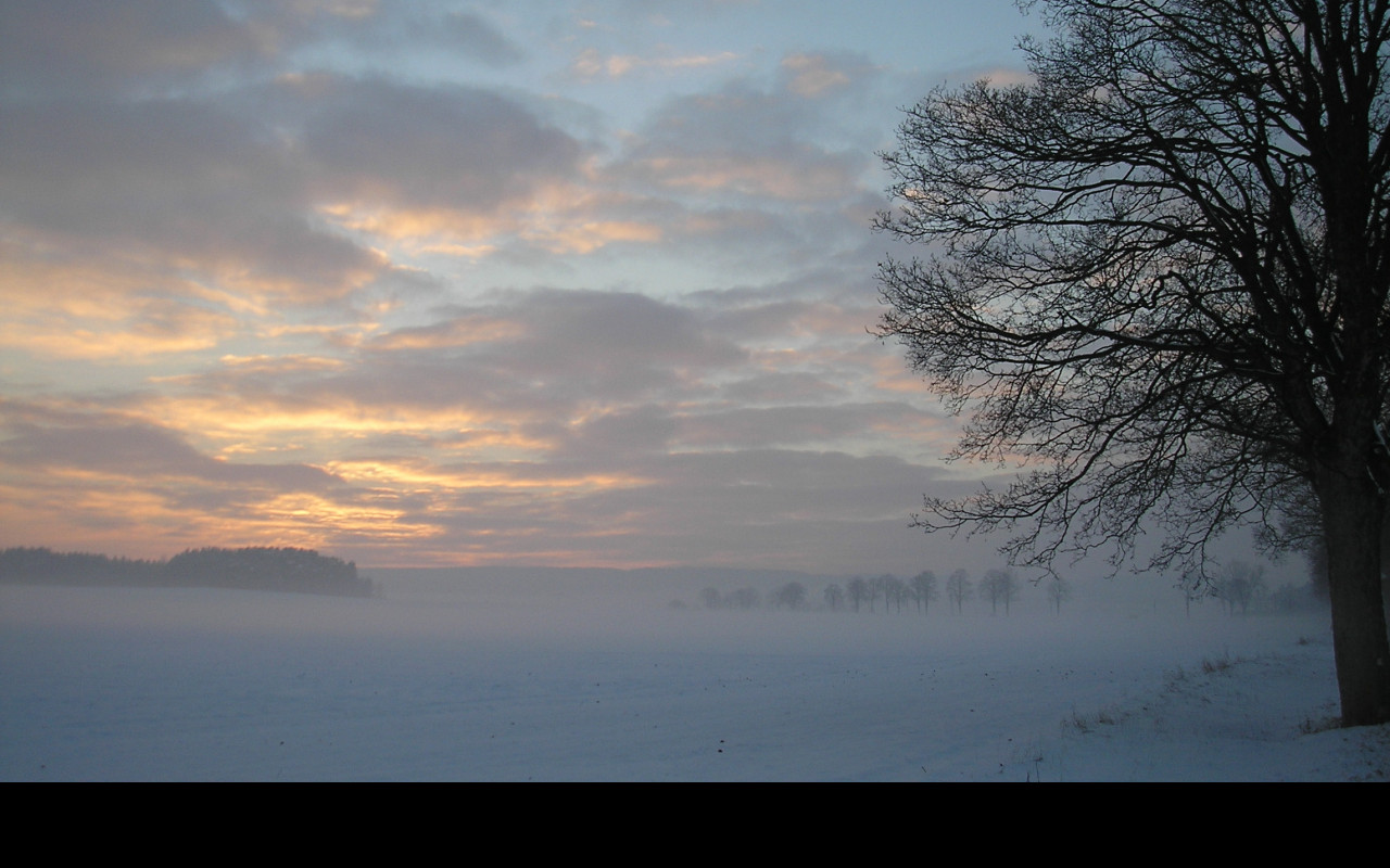 Tapeta radimer_promeny_18