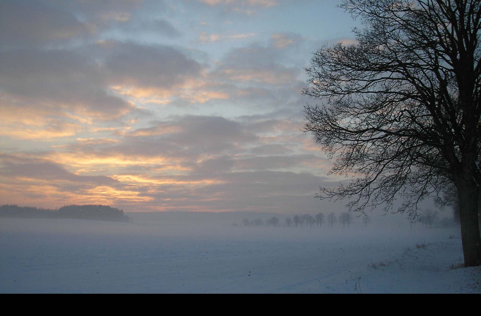 Tapeta radimer_promeny_18