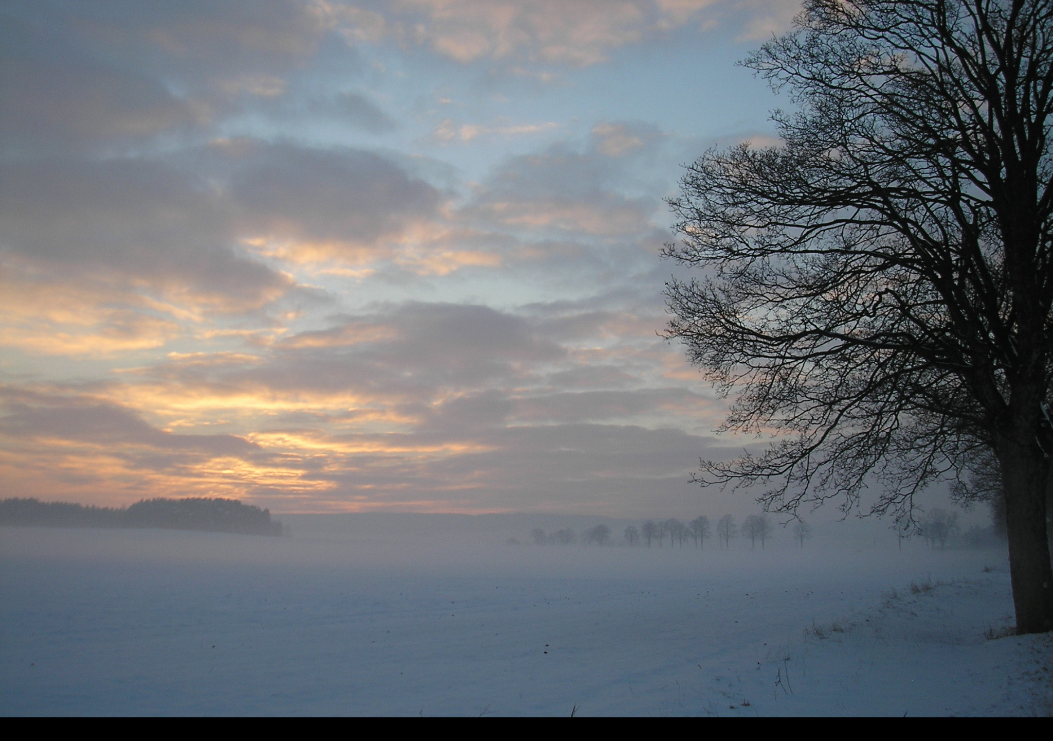 Tapeta radimer_promeny_18